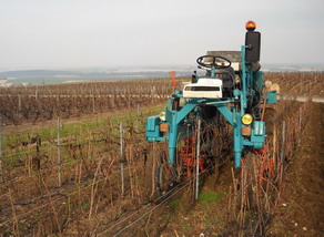 Champagne - Labour de printemps - Loiseau 746 + Charrue Boisselet mécanique